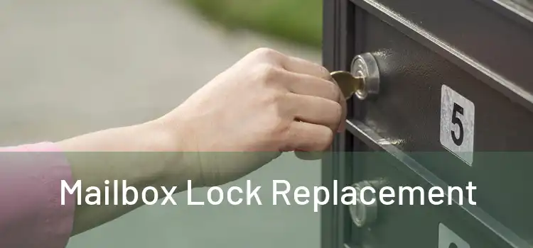 Mailbox Lock Replacement